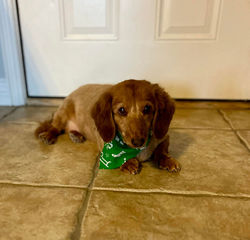 409673547_328089219988391_573319409571334627_n