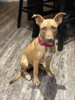 125966912_395253038492802_34391234736440