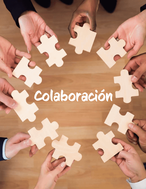 Supplier Collaboration: The New Key Driver of Competitiveness for 2026