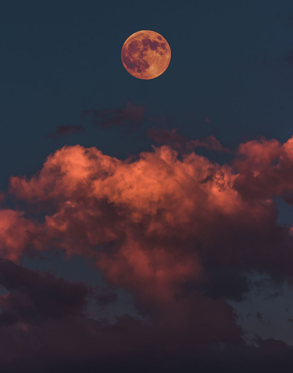 ree