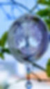 _edited_edited.jpg