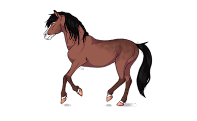 gif-cheval.gif