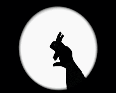 Théâtre ombre.gif