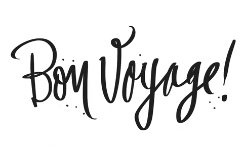 Bon voyage.gif