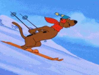 ski chien.gif