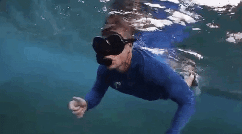 Snorkeling gif.gif