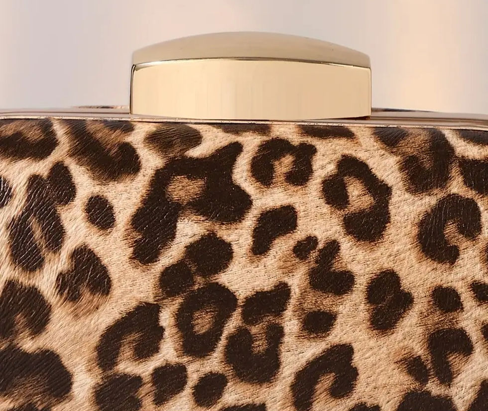 Thumbnail: Leopard Clutch Bag