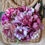 Thumbnail: Small Floral Wicker Bag Lilac and Purple Flowers