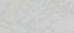 Screenshot 2025-01-06 210957_edited_edited.jpg