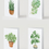 Thumbnail: Plant Collection Card Bundle