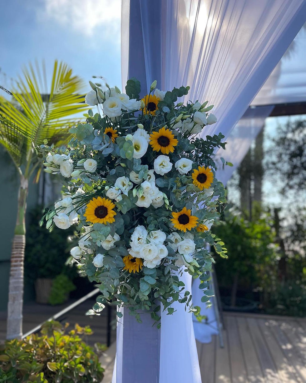 סוכריות חמניה