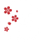 Hana Izakaya Logo