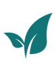 ejn (4).png