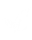 ejn (5).png