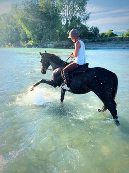 IMG_2041ecurie de sebo.JPG