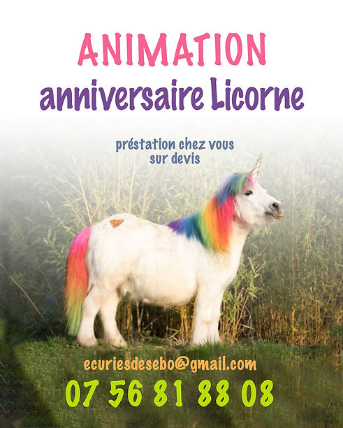anniversaire poney.jpg