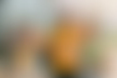 3era entrada. La educación desde mi interior