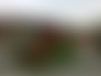 TỔ CHỨC GAMESHOW CHO TẬP ĐOÀN VNG