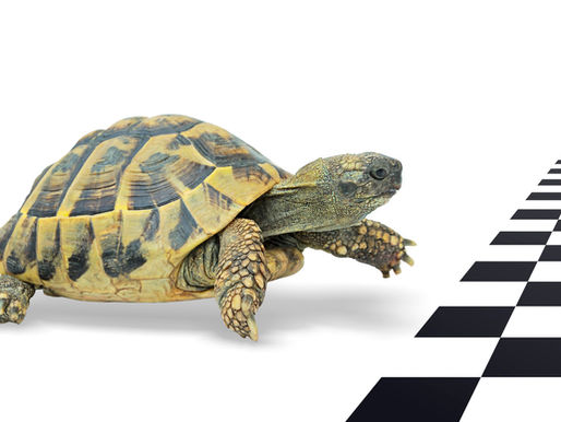 Cierre de año: la organización interna como clave para avanzar con propósito 