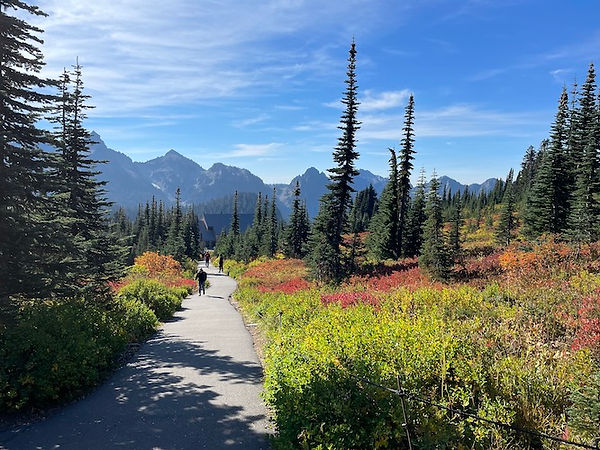 Paradise Inn, der ligger i Mount Rainier.