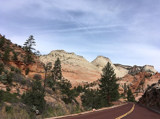 Scenic byway til Zion. www.drivingusa.dk