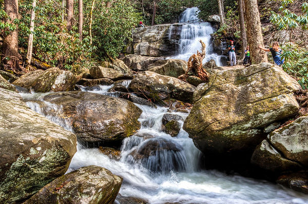 Laurel Falls. Michael Hicks.