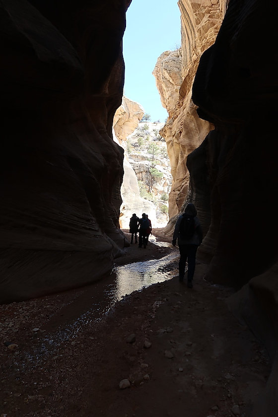 På vandring i Willis Creek. www.drivingusa.dk
