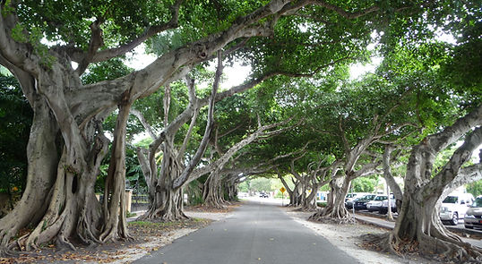 Coral Gables, Roadtrip ruter og nationalparker i USA