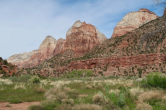 Zion nationalpark. www.drivingusa.dk.jpeg