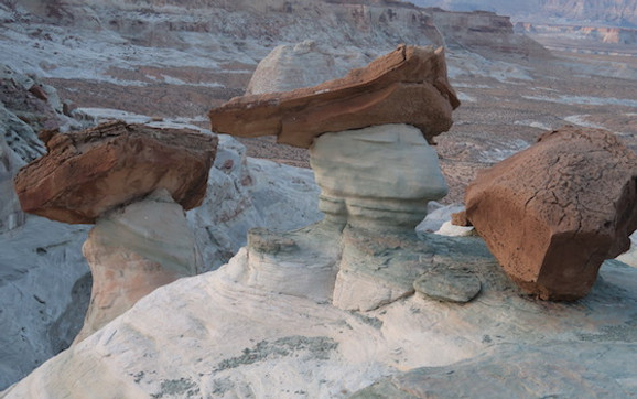 Stud Horse Point minder om Toadstoll