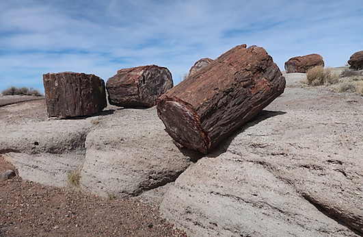 Kør ad Route 66 til Petrified Forest National Park.