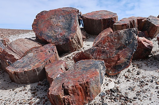 Stop ved smukke Blue Mesa, i Petrified Forest.