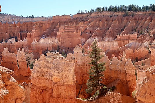 Bryce Canyon. Drivingusa.dk.jpeg