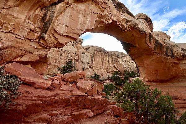 Hickman Bridge i Capitol Reef National Park.