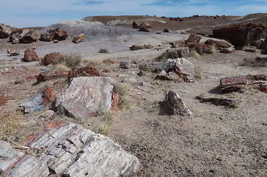 Forstenede træstykker overalt i Petrified Forest.