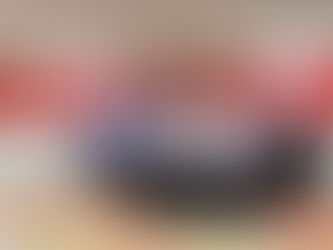 區域研究與社會科學的對話