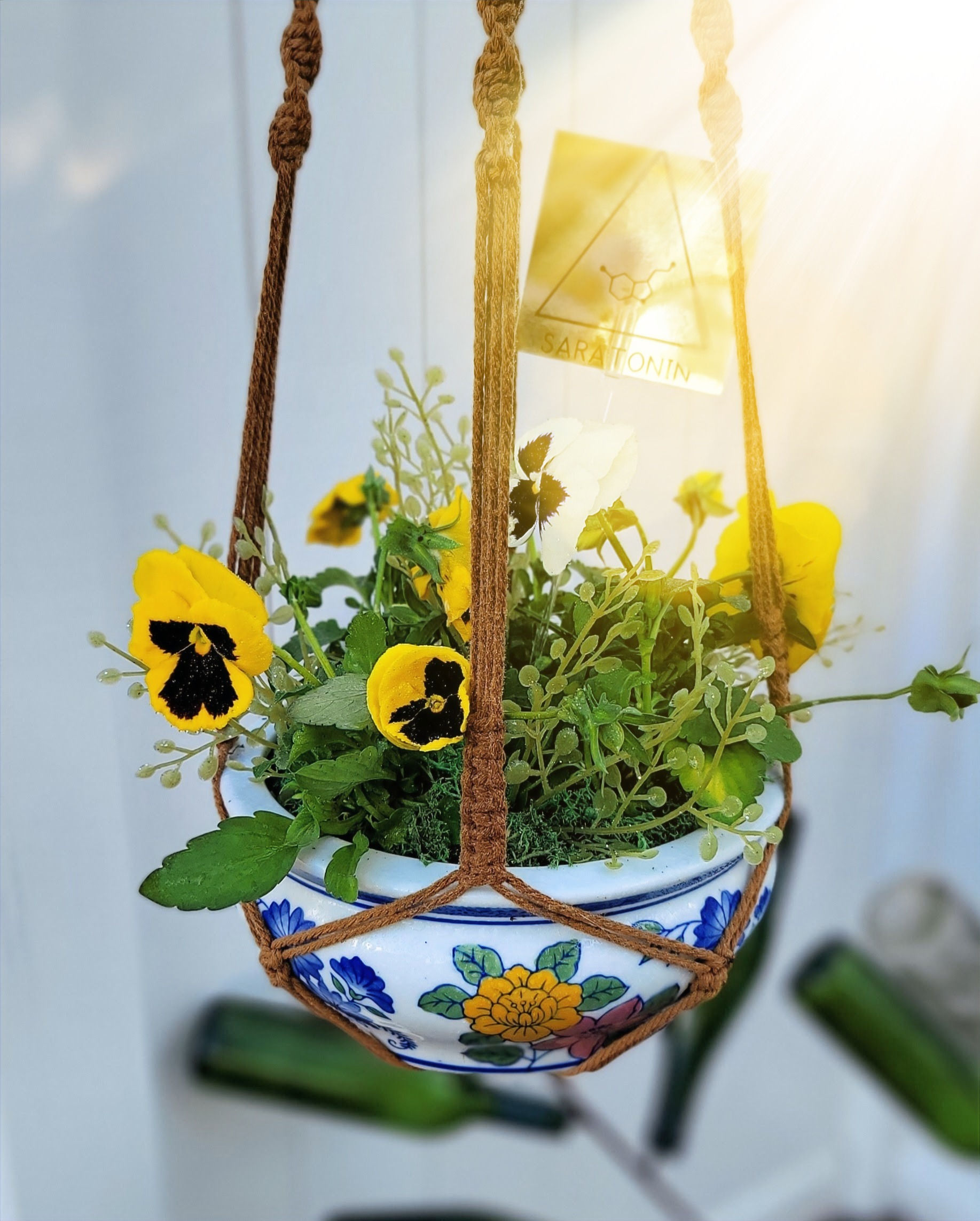 Pansy and Faux Greenary Dish