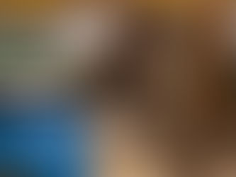 Nouveaux chatons à la ferme