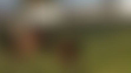 Bientôt le printemps