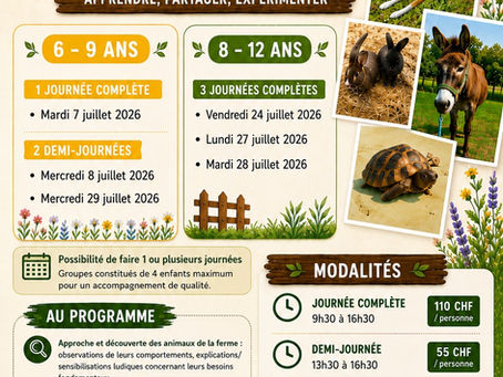 Journée à la ferme en juillet