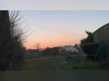 Nous vous souhaitons de belles fêtes de fin d'année