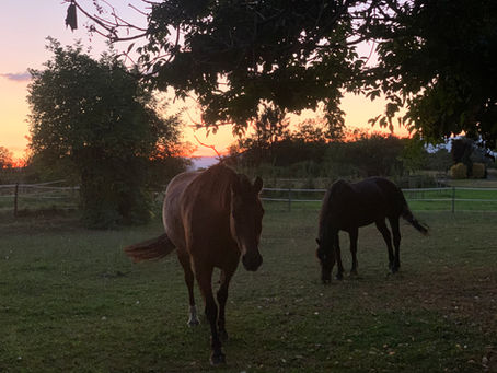 Fin des vacances d'été.