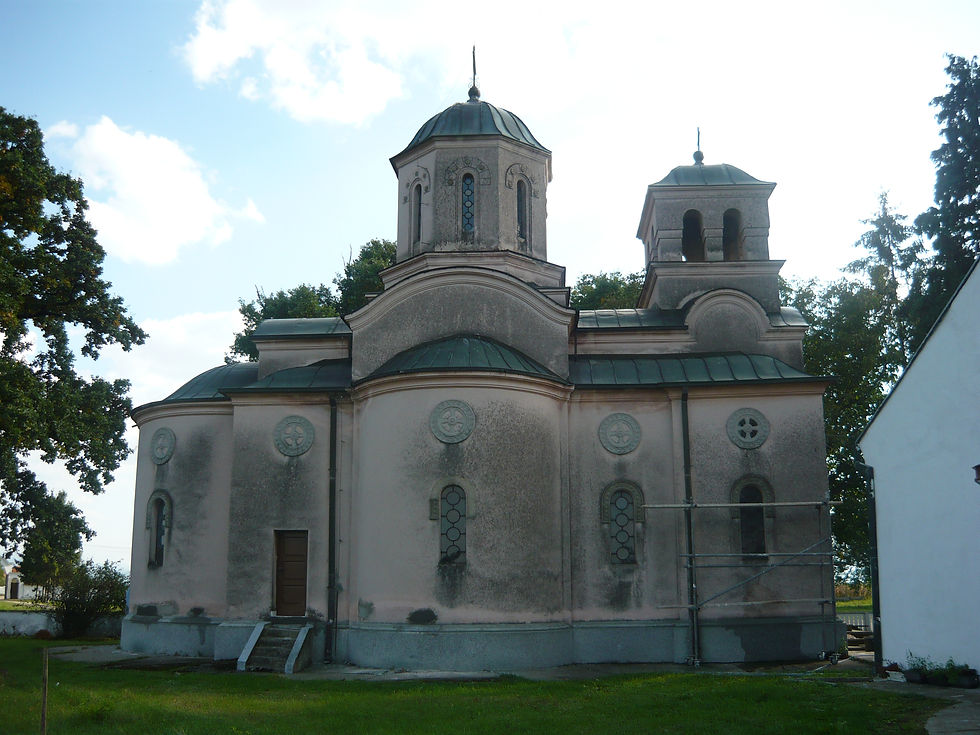 P1000710.JPG