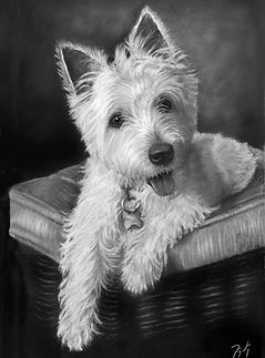 Daisy 15bw.jpg