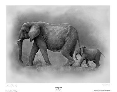 Following Mom bord printing.jpg