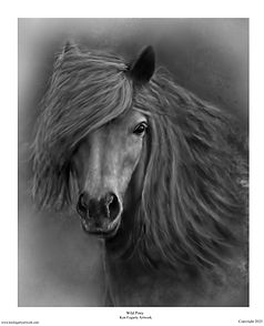Wil Pony Print.jpg