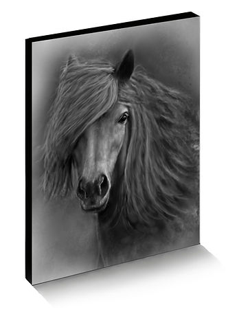 Wild Pony Original Canvas Wrap skew web gallery.jpg