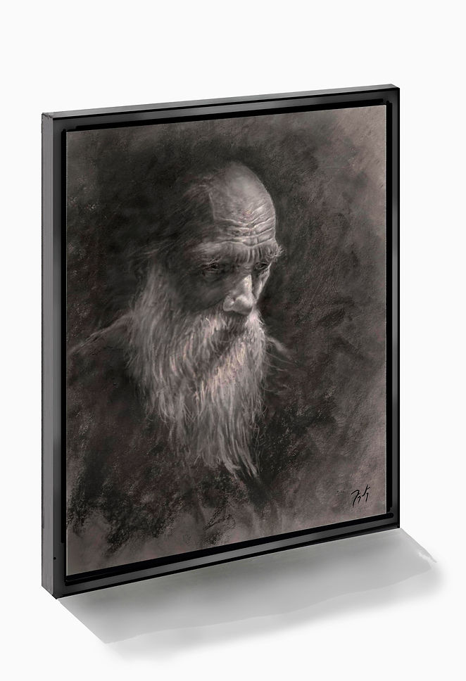 1 a a a old beard 17 sig 26 dark float skew shadow FA.jpg