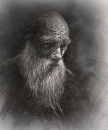 1 a a a a old bearded 16 sig 25.jpg