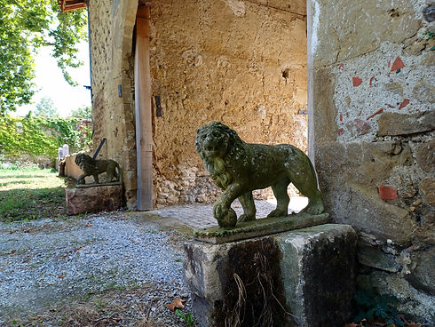 chateau-hautes-pyrenees-stone-lion-statue.jpg.jpg